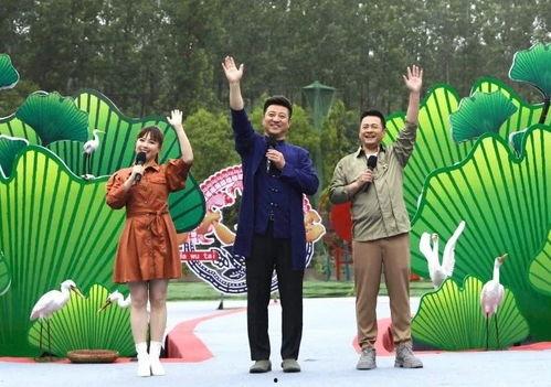 近期联动爆料新闻事件视频,真相与争议交织